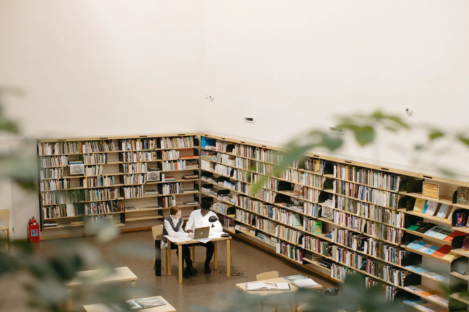 Students studying in an academic library